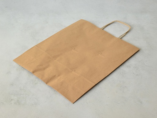 [PTASGB] Papiertragetasche Blanko Groß (33×41×12 cm) im 10er-Pack